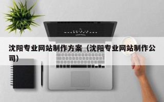 临夏沈阳专业网站制作方案（沈阳专业网站制作公司）